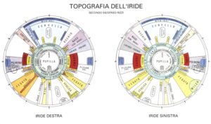 La Potente Tecnica dell'Iridologia